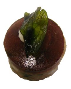 Ham Hock with Port Jelly and Fried Parsley